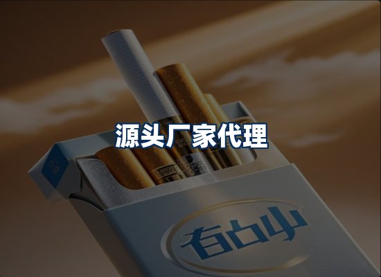 专业团队办公环境